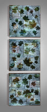 Load image into Gallery viewer, Maple Leaves 20" x 20" (x3)