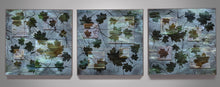 Load image into Gallery viewer, Maple Leaves 20" x 20" (x3)
